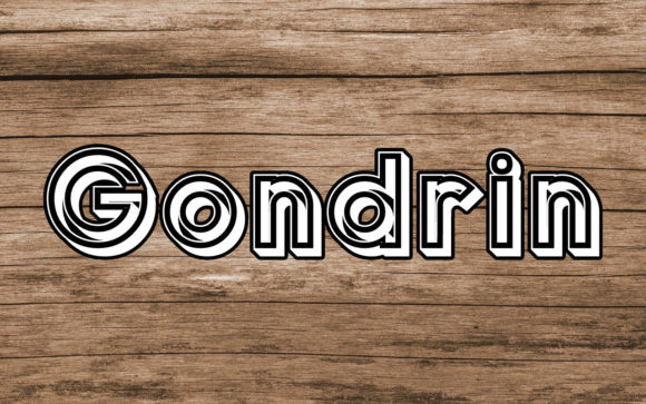 Gondrin: A Bold Font for Business Branding