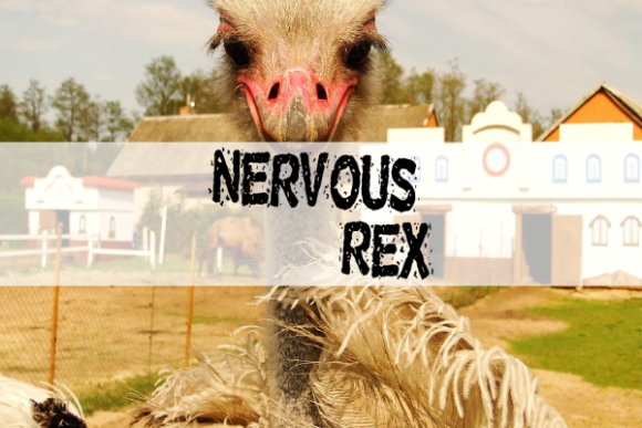 Nervous Rex Font for Bold Campaigns