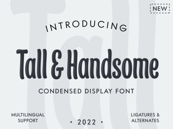 Tall Handsome Font for Business Branding